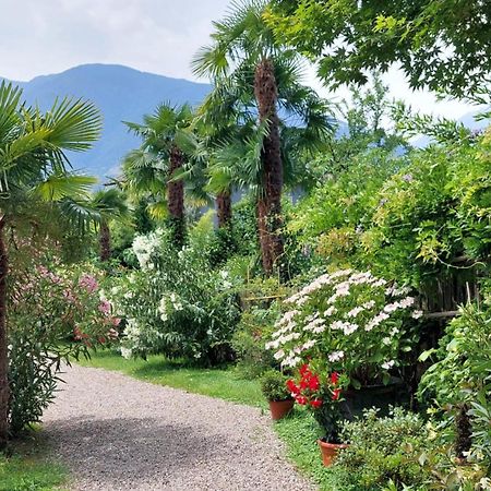 Nora S Home 5 - Panoramic Terrace & Bio Garden Merano Dış mekan fotoğraf