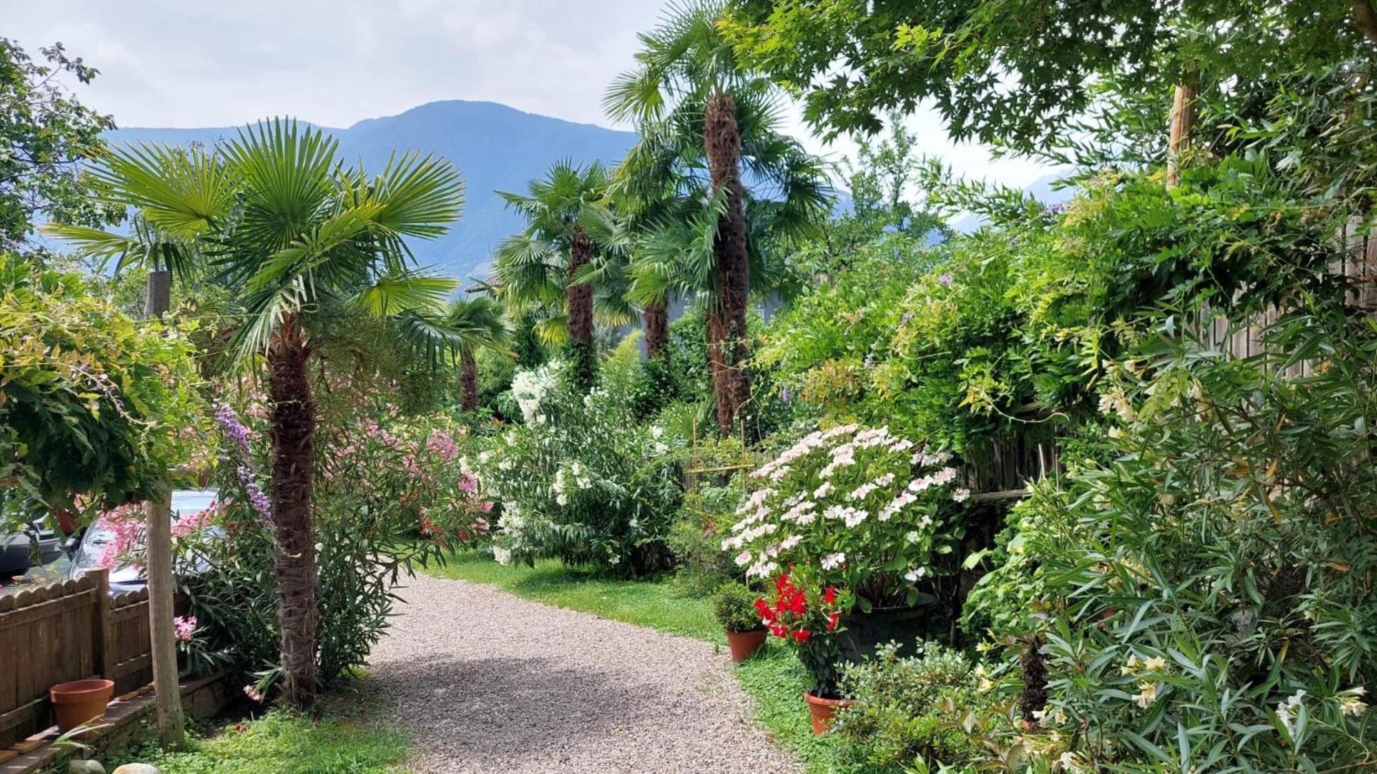 Nora S Home 5 - Panoramic Terrace & Bio Garden Merano Dış mekan fotoğraf